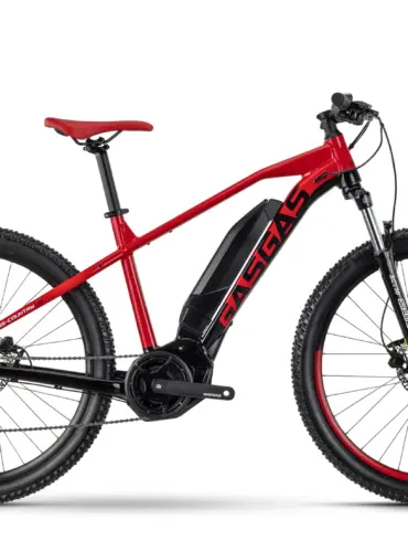Seitenansicht eines roten GASGAS G CROSS COUNTRY 1.0 E-Hardtails mit Fokus auf Rahmen, Motor und Räder.