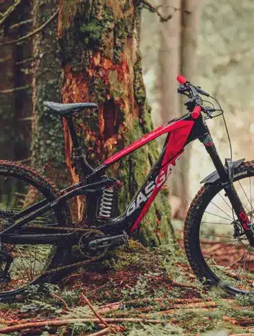 GASGAS ECC 5 E-Enduro-Bike in Sangria Red mit schwarzen Akzenten, fotografiert im Wald auf moosigem Untergrund.