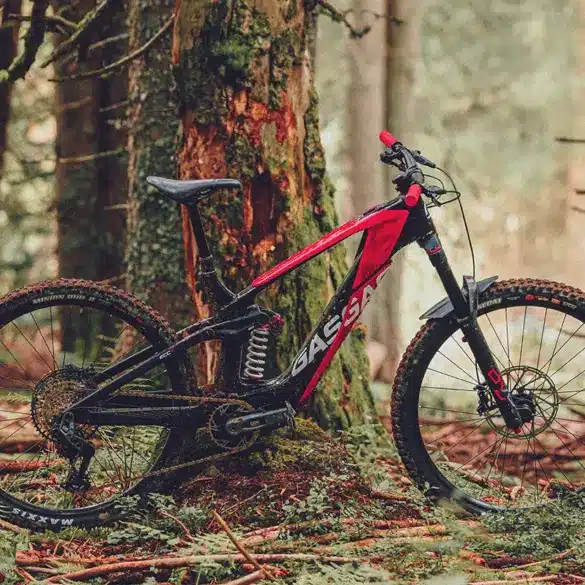 GASGAS ECC 5 E-Enduro-Bike in Sangria Red mit schwarzen Akzenten, fotografiert im Wald auf moosigem Untergrund.