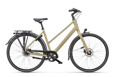 Seitenansicht eines Batavus Senz Active Exclusive Fahrrads in Royal Gold mit Gepäckträger und Schutzblechen.