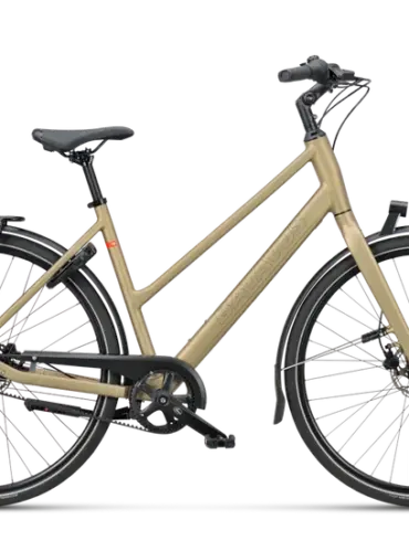Seitenansicht eines Batavus Senz Active Exclusive Fahrrads in Royal Gold mit Gepäckträger und Schutzblechen.