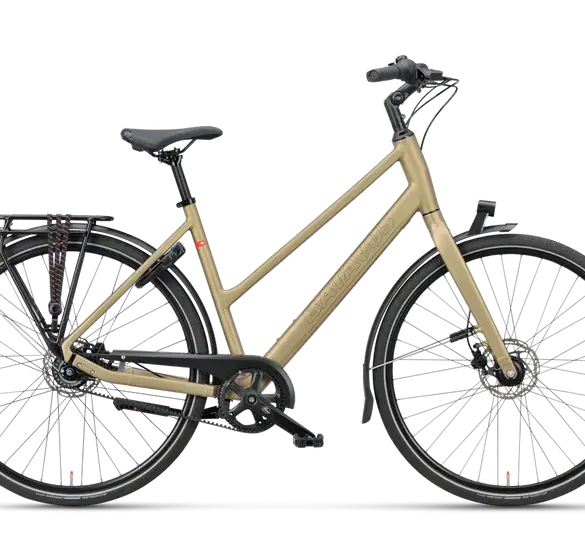 Seitenansicht eines Batavus Senz Active Exclusive Fahrrads in Royal Gold mit Gepäckträger und Schutzblechen.