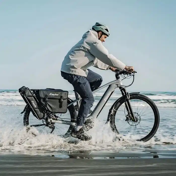 Mann fährt Fiido Nomads Pro E-Bike mit Gepäcktaschen am Strand durch Wasser.
