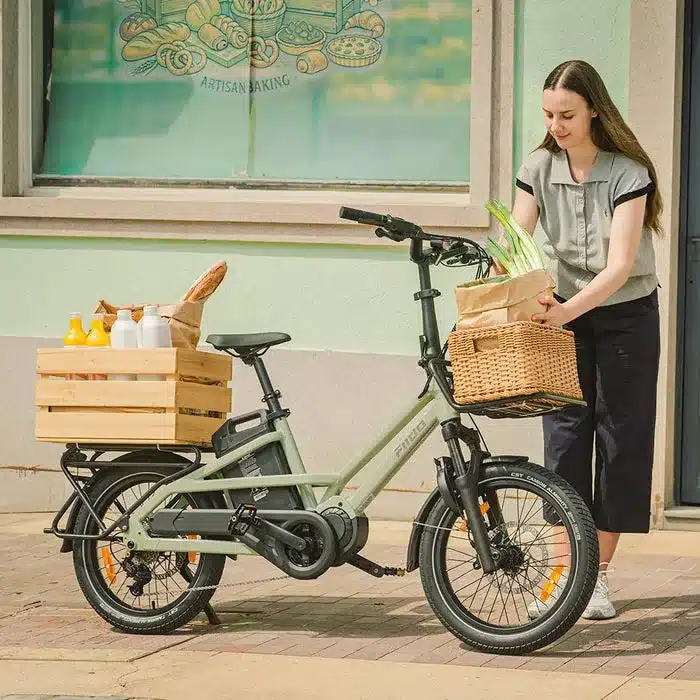 Ein grünes Fiido T3 Lastenrad, das mit einer Holzkiste voller Flaschen und Brot sowie einem Weidenkorb mit Grünzeug beladen ist, während eine Frau die Einkäufe hineinlegt.