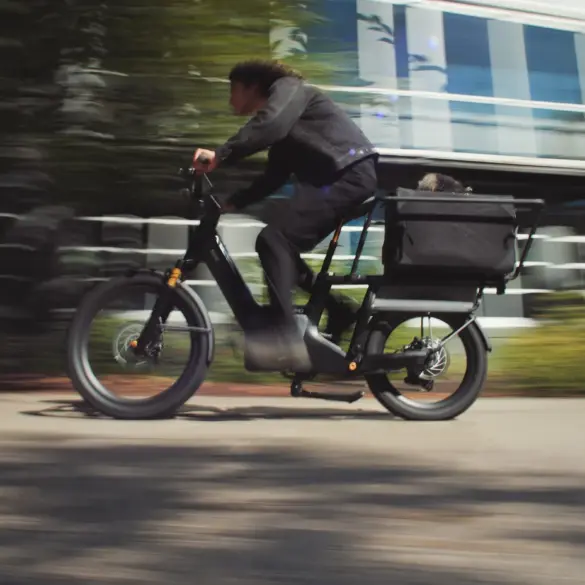 Fahrer eines schwarzen Lemmo 3 Longtail-E-Bikes mit einem Kind oder Haustier in einer Gepäckbox fährt auf einer Straße.