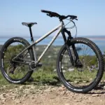 Seitenansicht eines grauen Fairdale Elevator Mountainbikes mit schwarzen Reifen und Felgen, das auf einem steinigen und grasbewachsenen Untergrund steht.